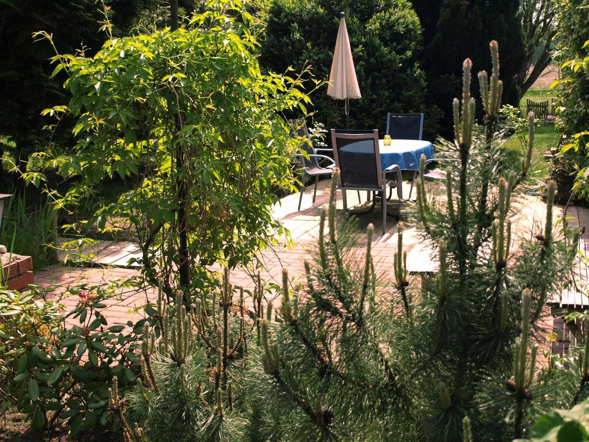 Wohnung In Wendhof Mit Garten, Grill Und Terrasse Göhren-Lebbin Kültér fotó